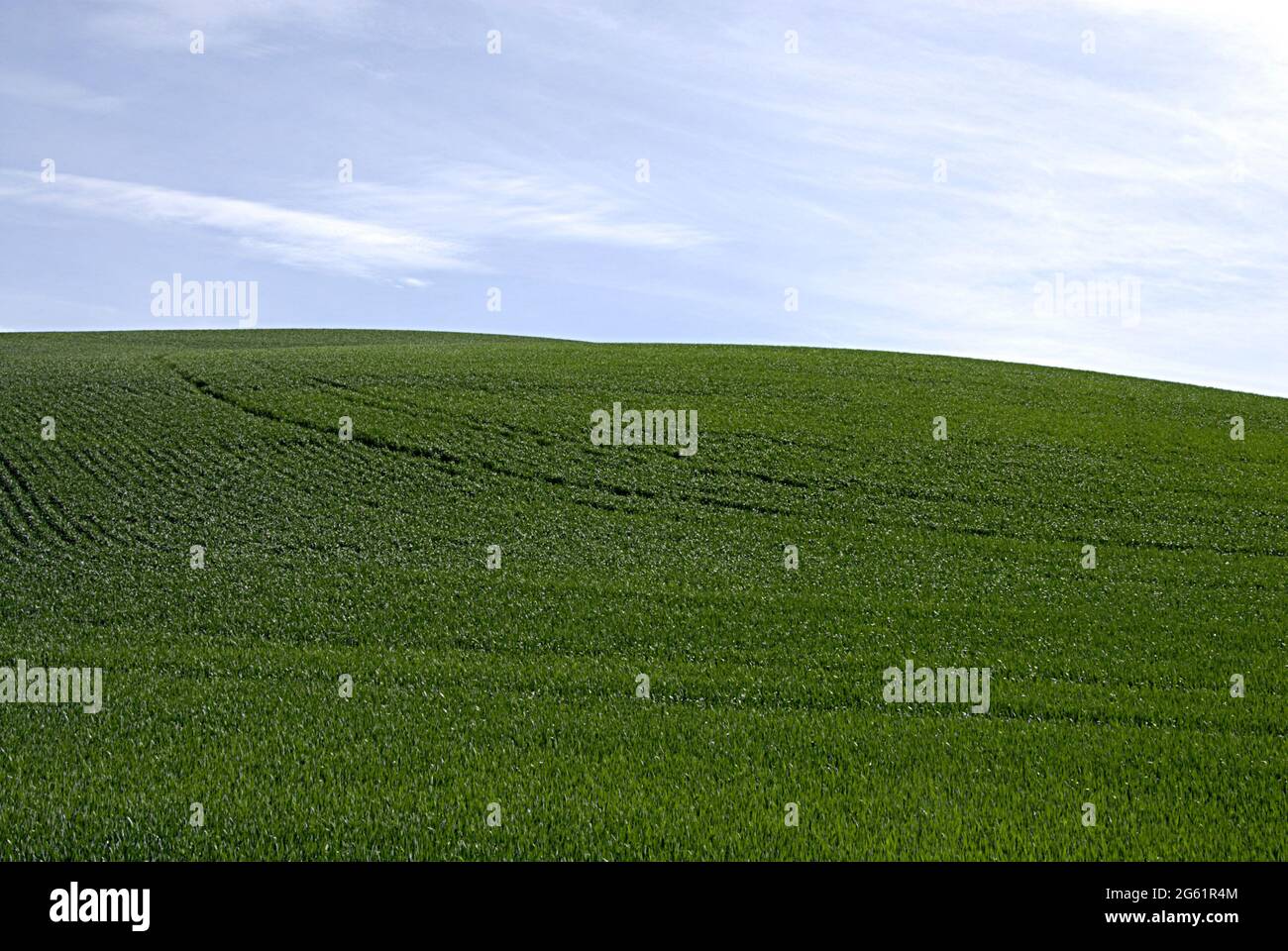 Potlatch food hires stock photography and images Alamy