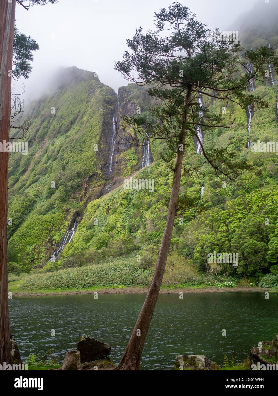 Poço da Alagoinha raw nature, Flores Island, Azores Stock Photo