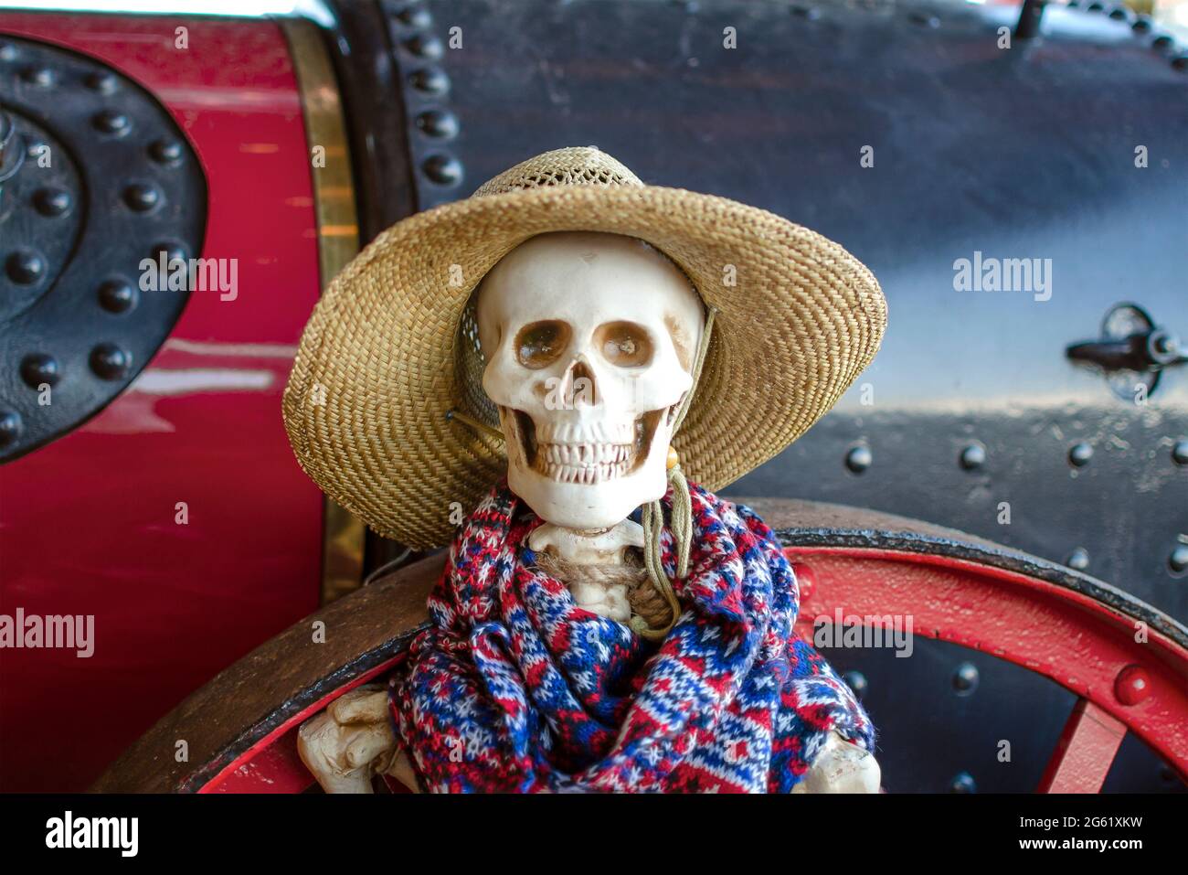 halloween skeleton. A skeleton is wearing a straw hat, a Halloween decoration. Place for text Stock Photo