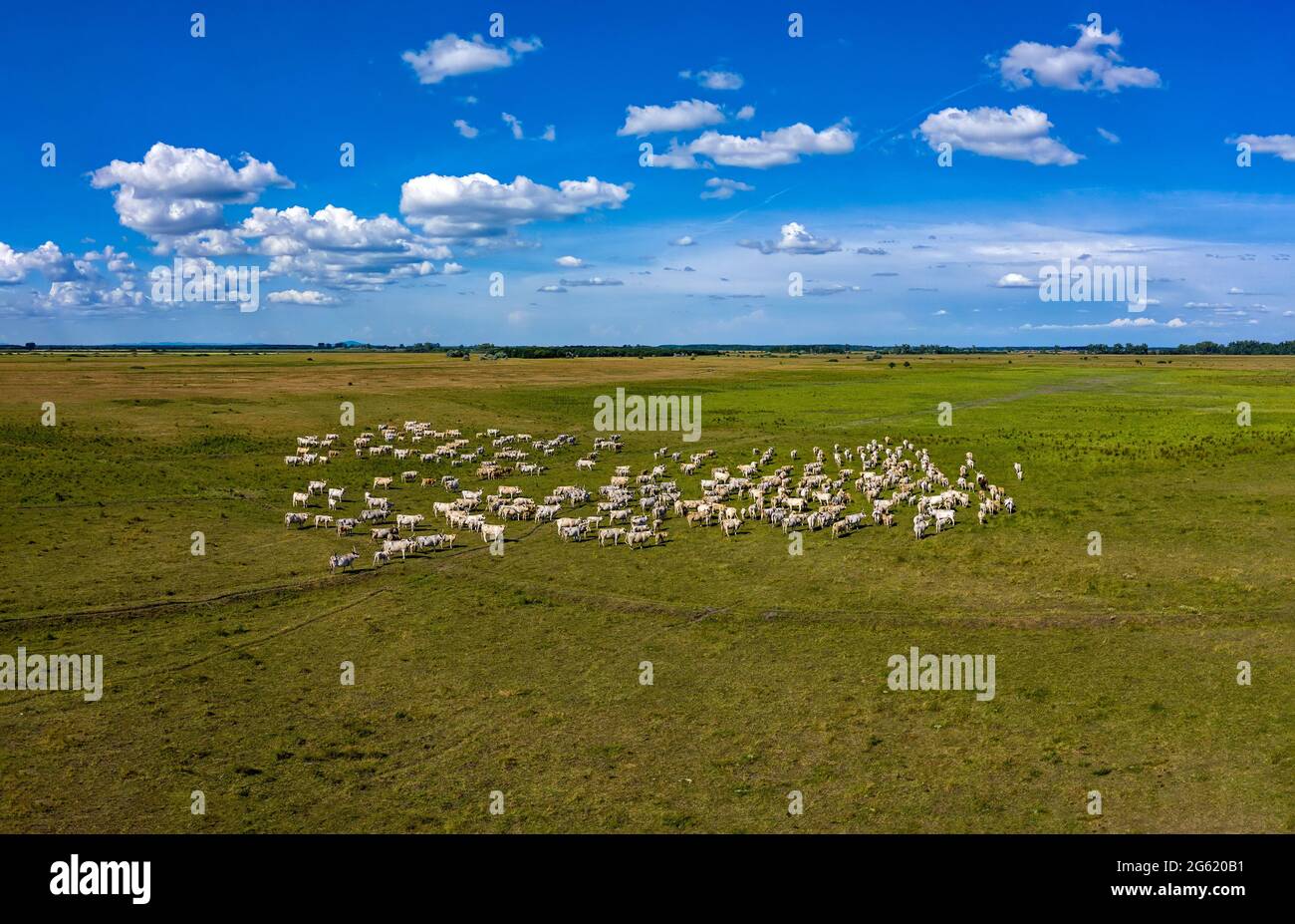 Nationalpark hortobagy hi-res stock photography and images - Alamy