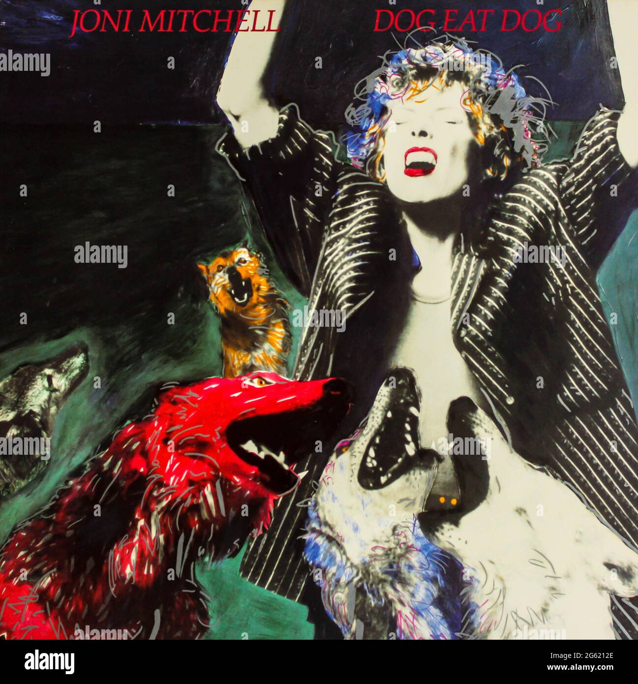 Can Dogs Eat Pop Rocks