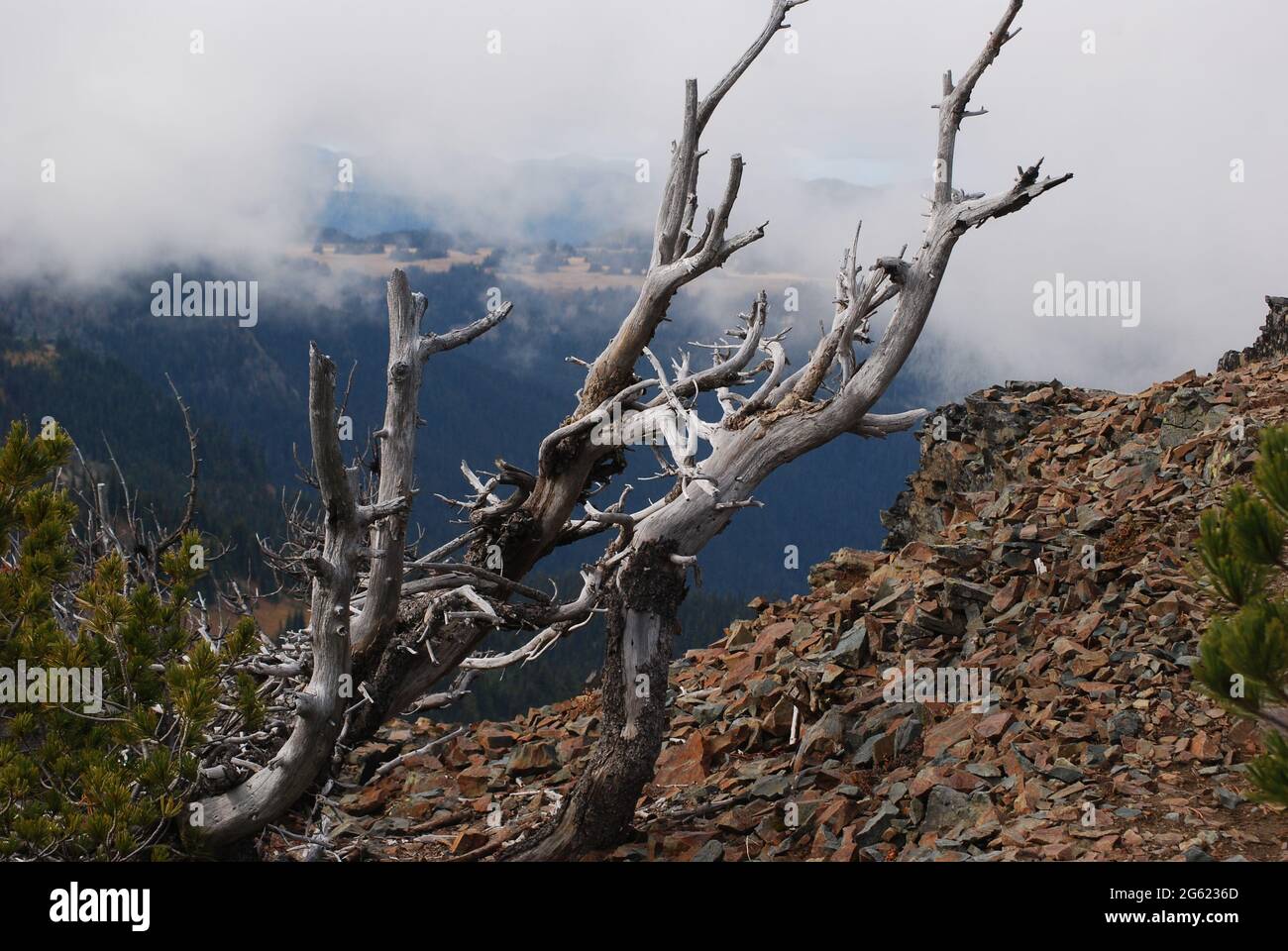 Scenery of the Cascade Mountains Stock Photo - Alamy