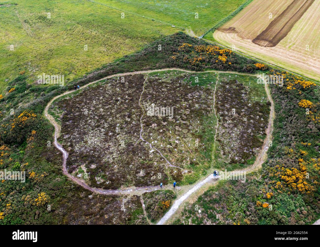 Aerial view of the Hill 'O Many Stanes archaeological site situated on a south-facing hillside in Mid Clyth, Wick in Caithness, Scotland. Stock Photo