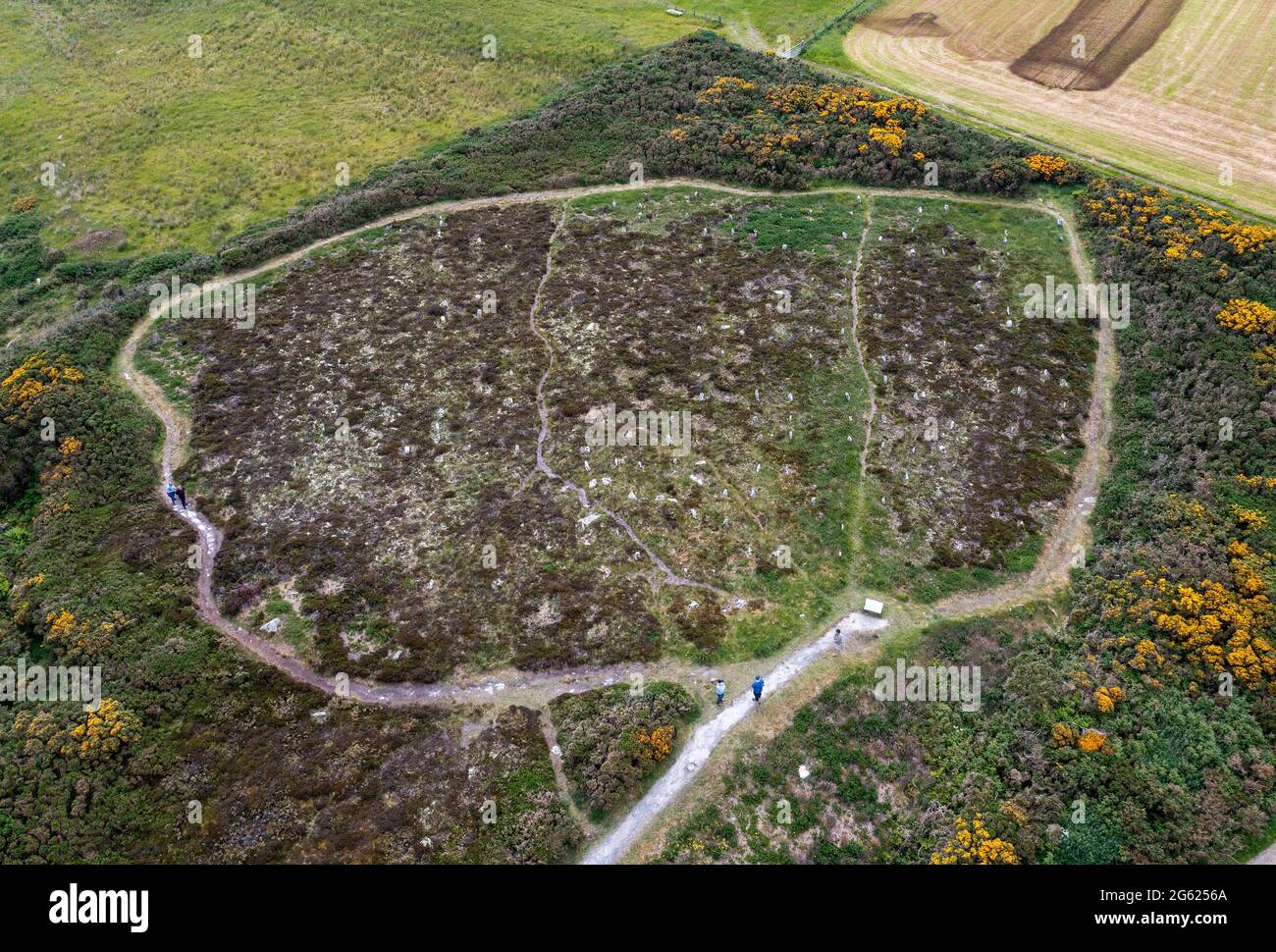 Aerial view of the Hill 'O Many Stanes archaeological site situated on a south-facing hillside in Mid Clyth, Wick in Caithness, Scotland. Stock Photo