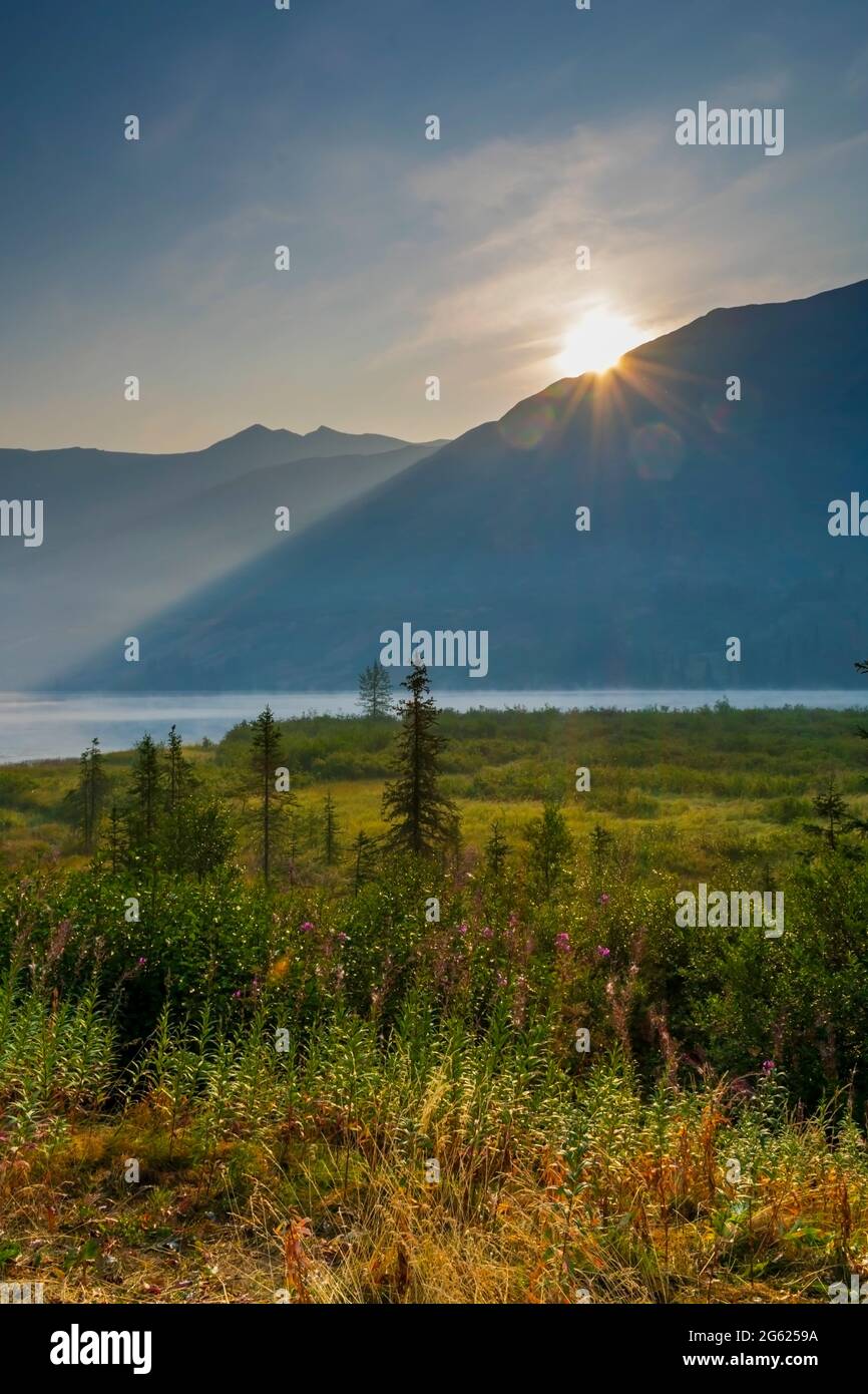 Sunrise in Moose Pass Alaska, Alaska landscape vector, national park, pacific north west. Stock Photo