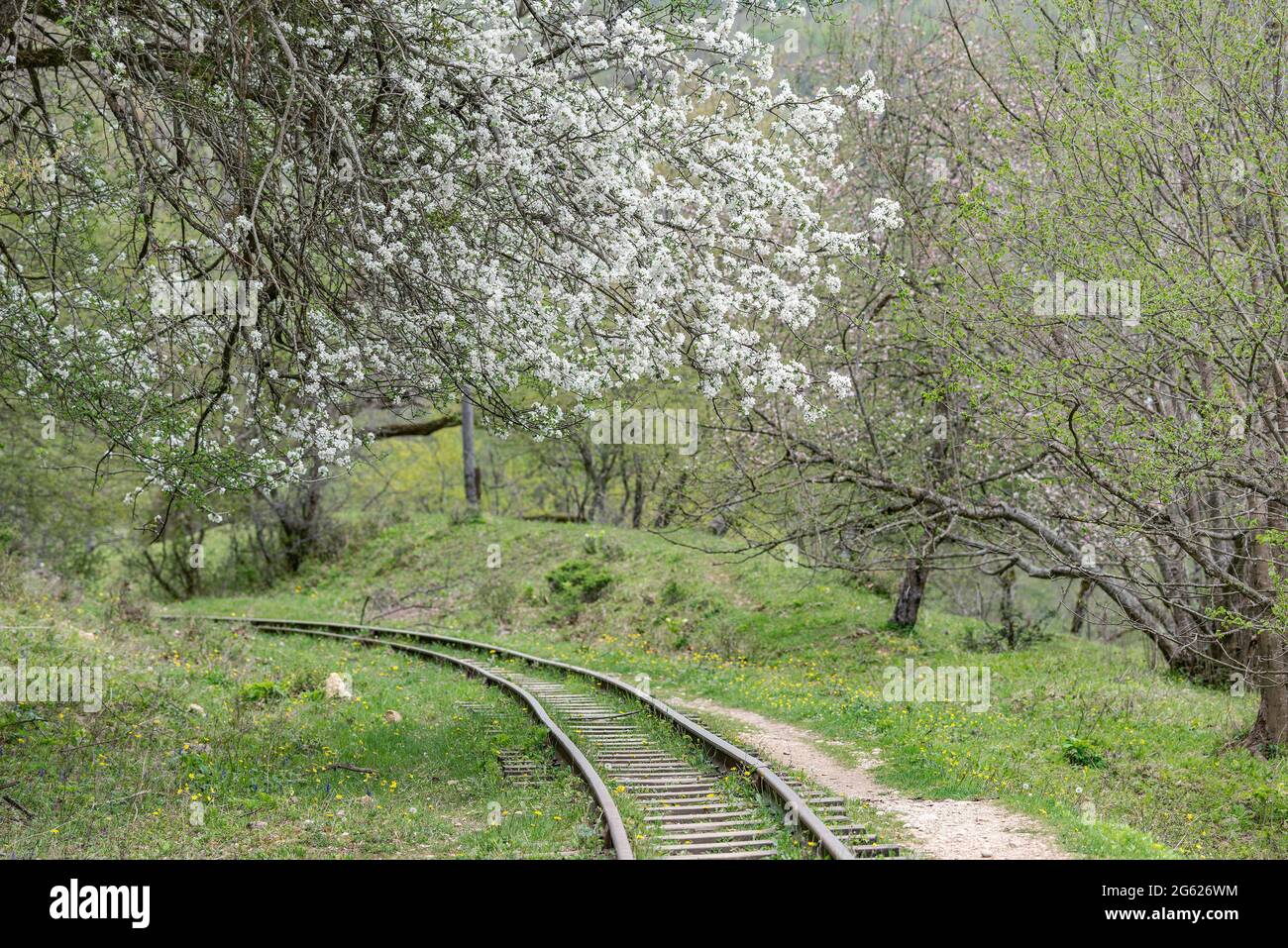 Old narrow gauge railway of Guam canyon. Western Caucasus. Russia. Stock Photo