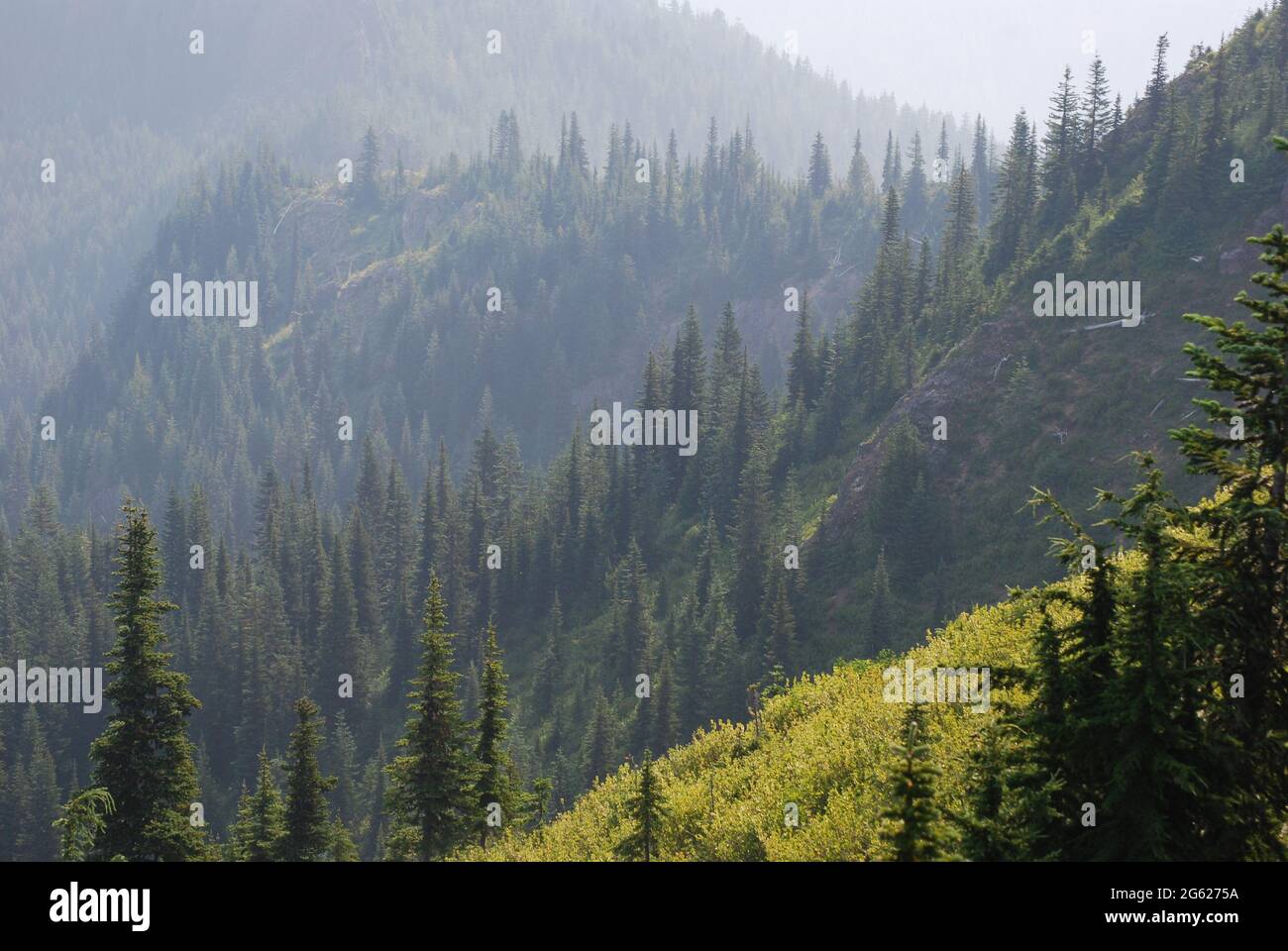 Scenery of the Cascade Mountains Stock Photo - Alamy