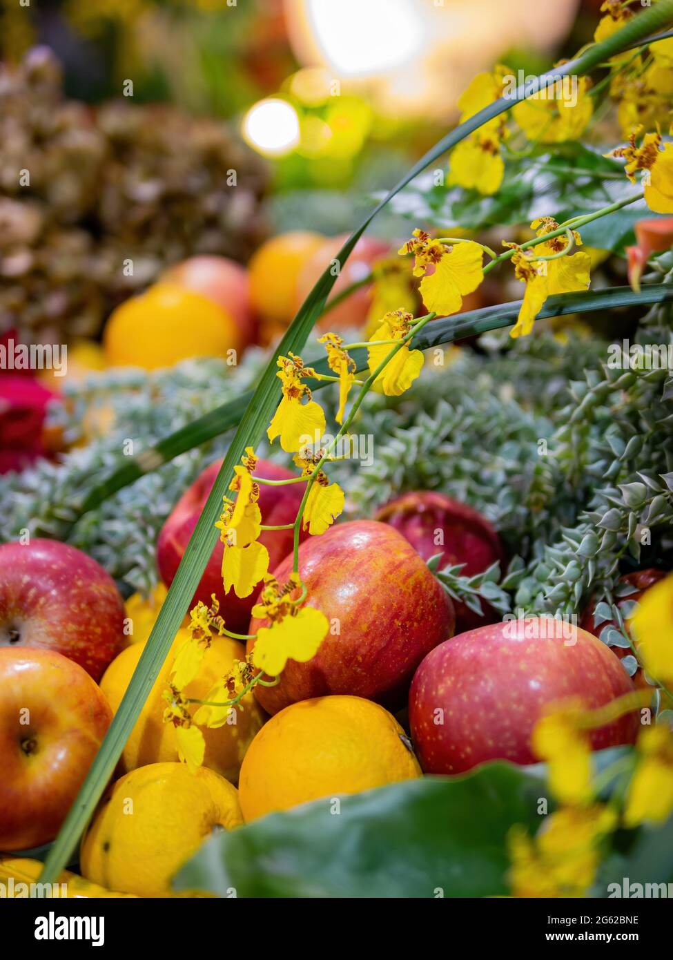 Close up shot of Oncidium flexuosum and apple, oranges at Taipei, Taiwan Stock Photo