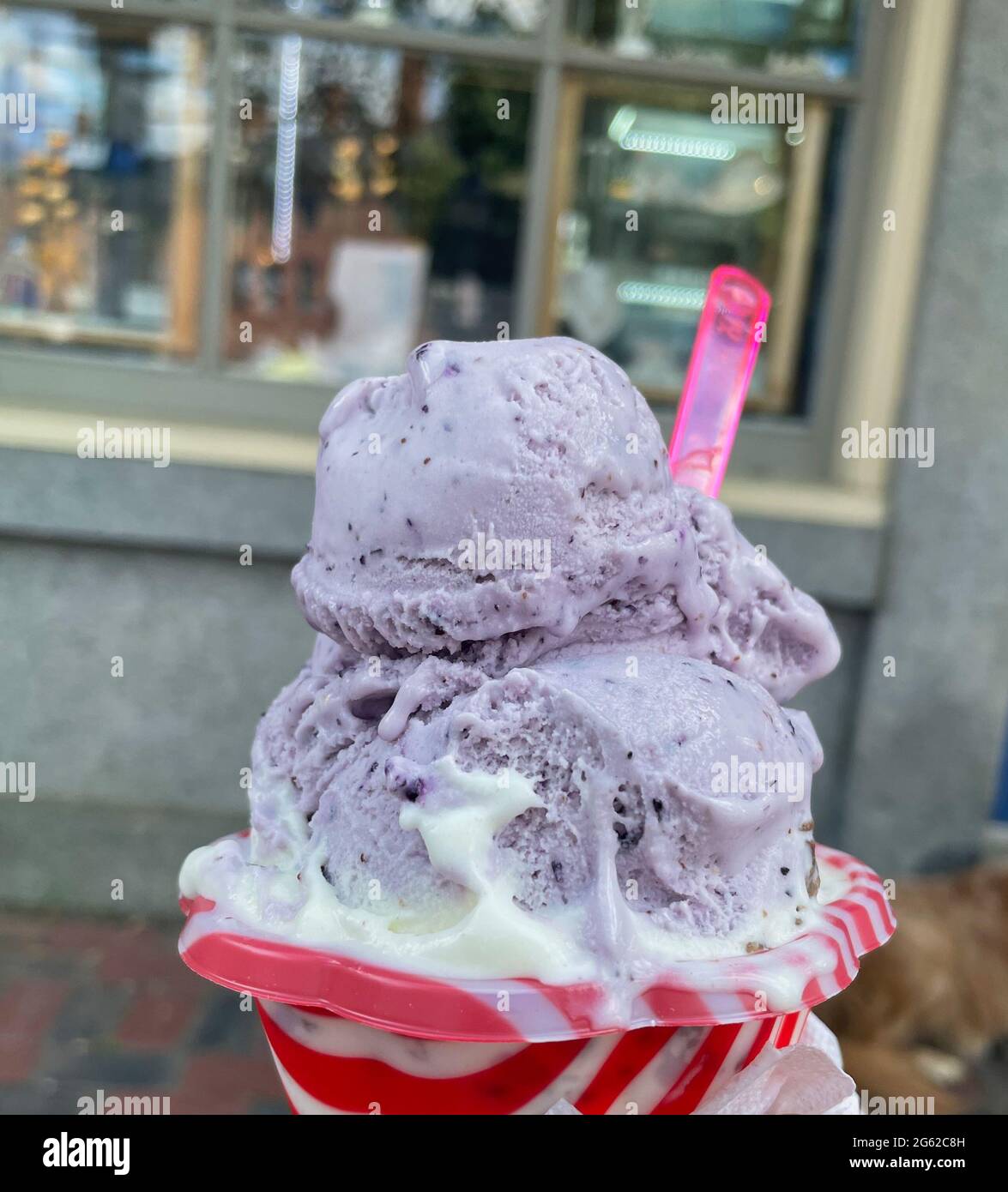 Berry Blueberry and Vanilla frozen yogurt. Stock Photo