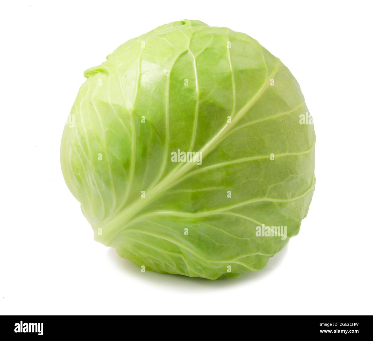 Young cabbage isolated on white background Stock Photo - Alamy