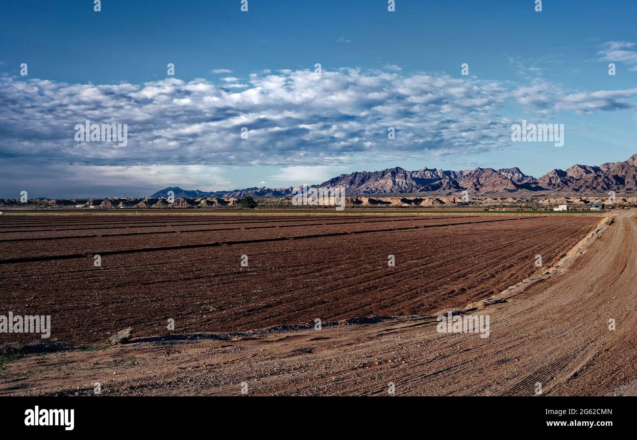 An open field ready for the seeds of the new crops. Stock Photo