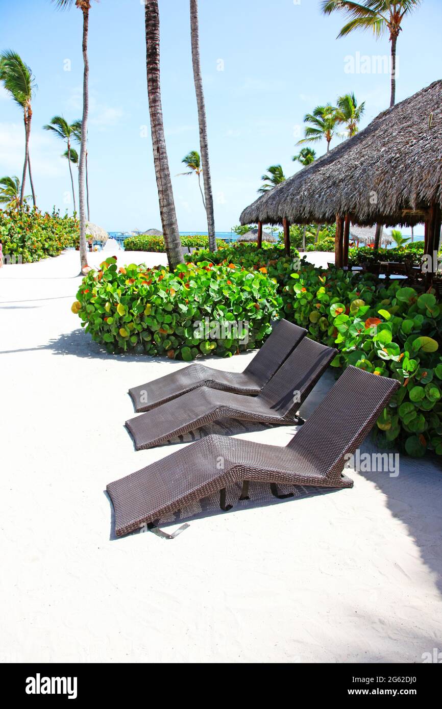Wooden deck chairs on sandy beach near sea. Holiday background Stock ...