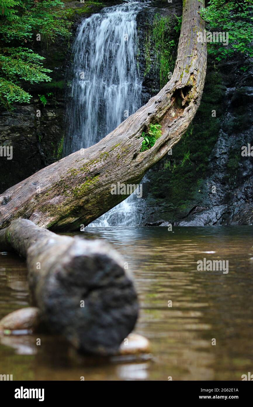 Magical woodland waterfall scene Stock Photo