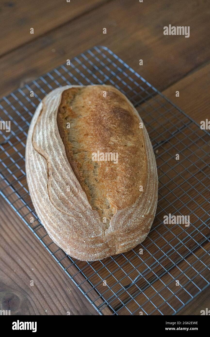 Homemade sourdough bread artisan freshly baked on a cooling rock wood table background top view Stock Photo