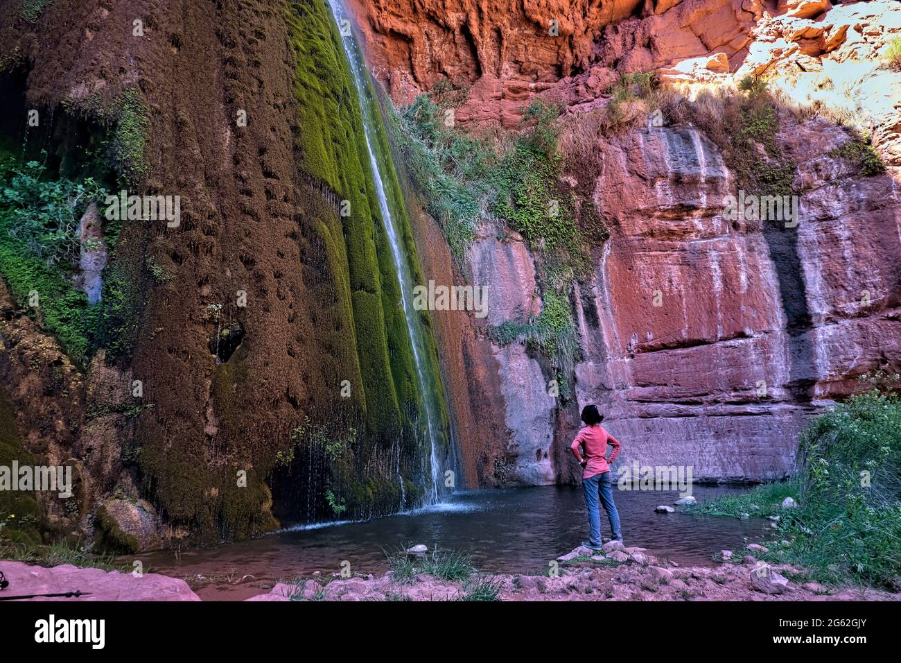 Mosscovered Ribbon Falls, Grand Canyon National Park, Arizona, U.S.A