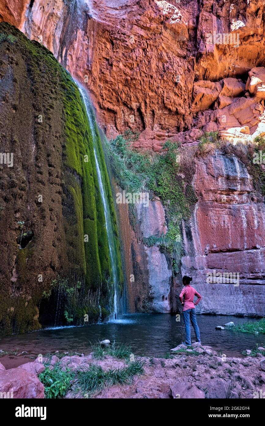 Mosscovered Ribbon Falls, Grand Canyon National Park, Arizona, U.S.A