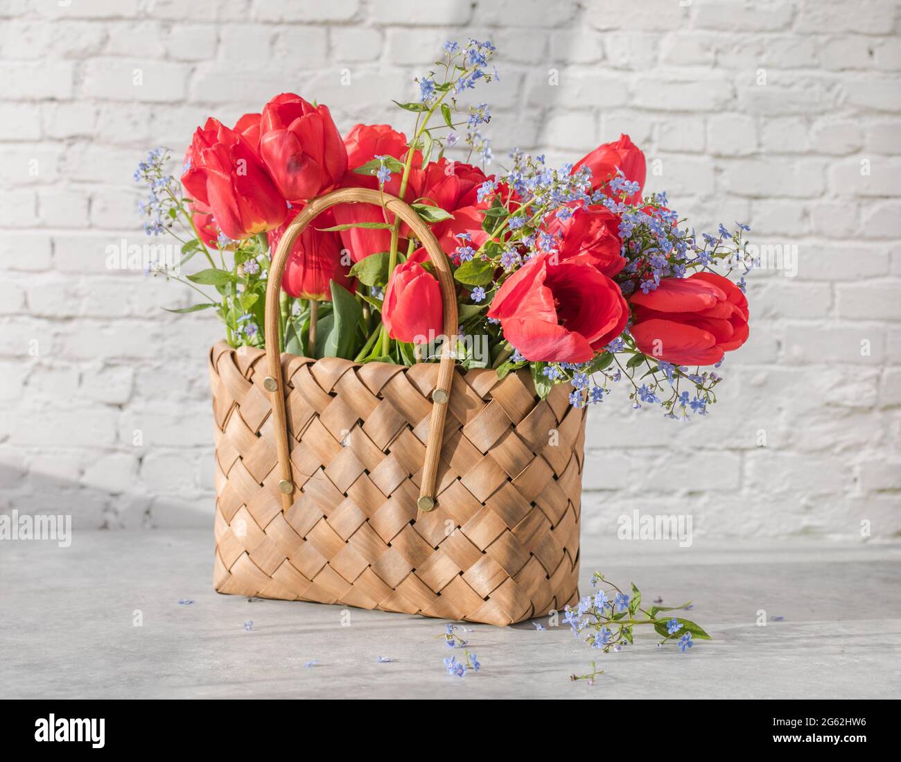 Summer or spring bouquet of daffodils and red tulips in a wicker basket ...