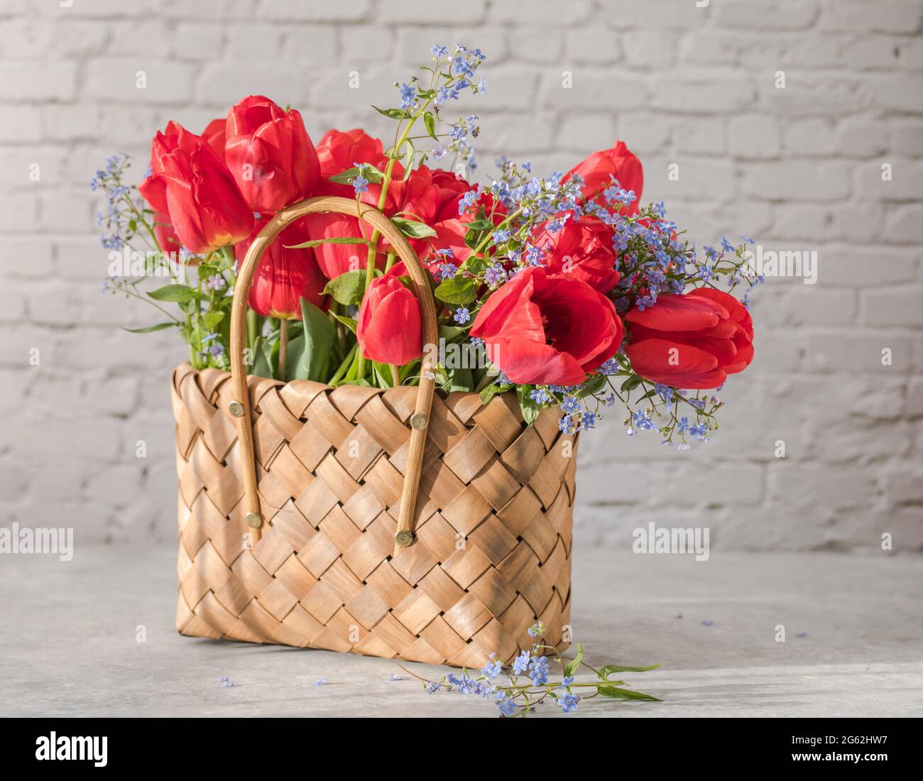 Summer or spring bouquet of daffodils and red tulips in a wicker basket ...