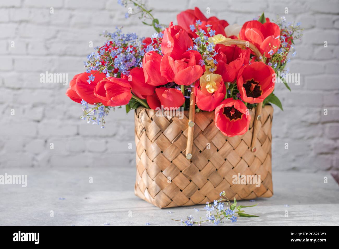 Summer or spring bouquet of daffodils and red tulips in a wicker basket ...