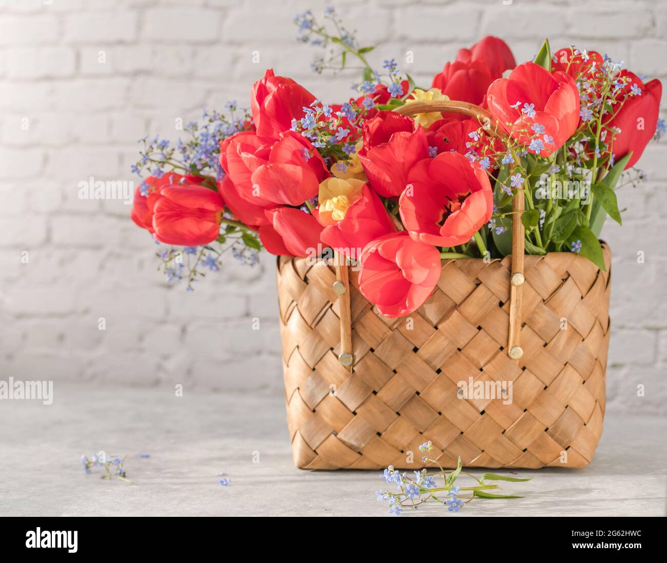 Summer or spring bouquet of daffodils and red tulips in a wicker basket ...