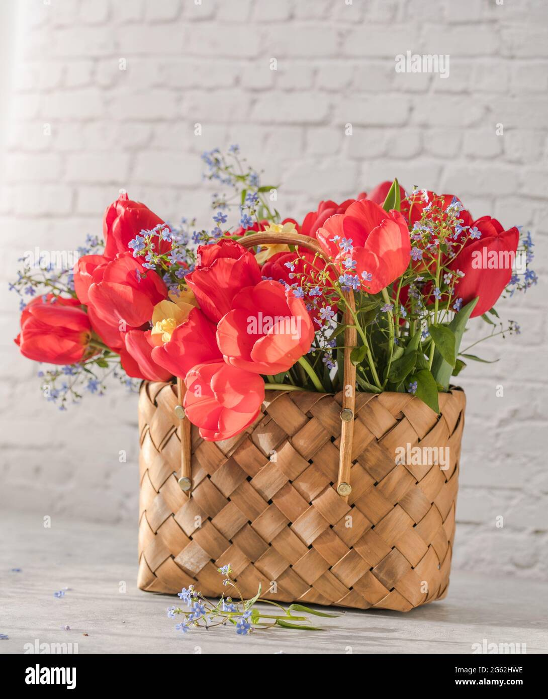 Summer or spring bouquet of daffodils and red tulips in a wicker basket ...