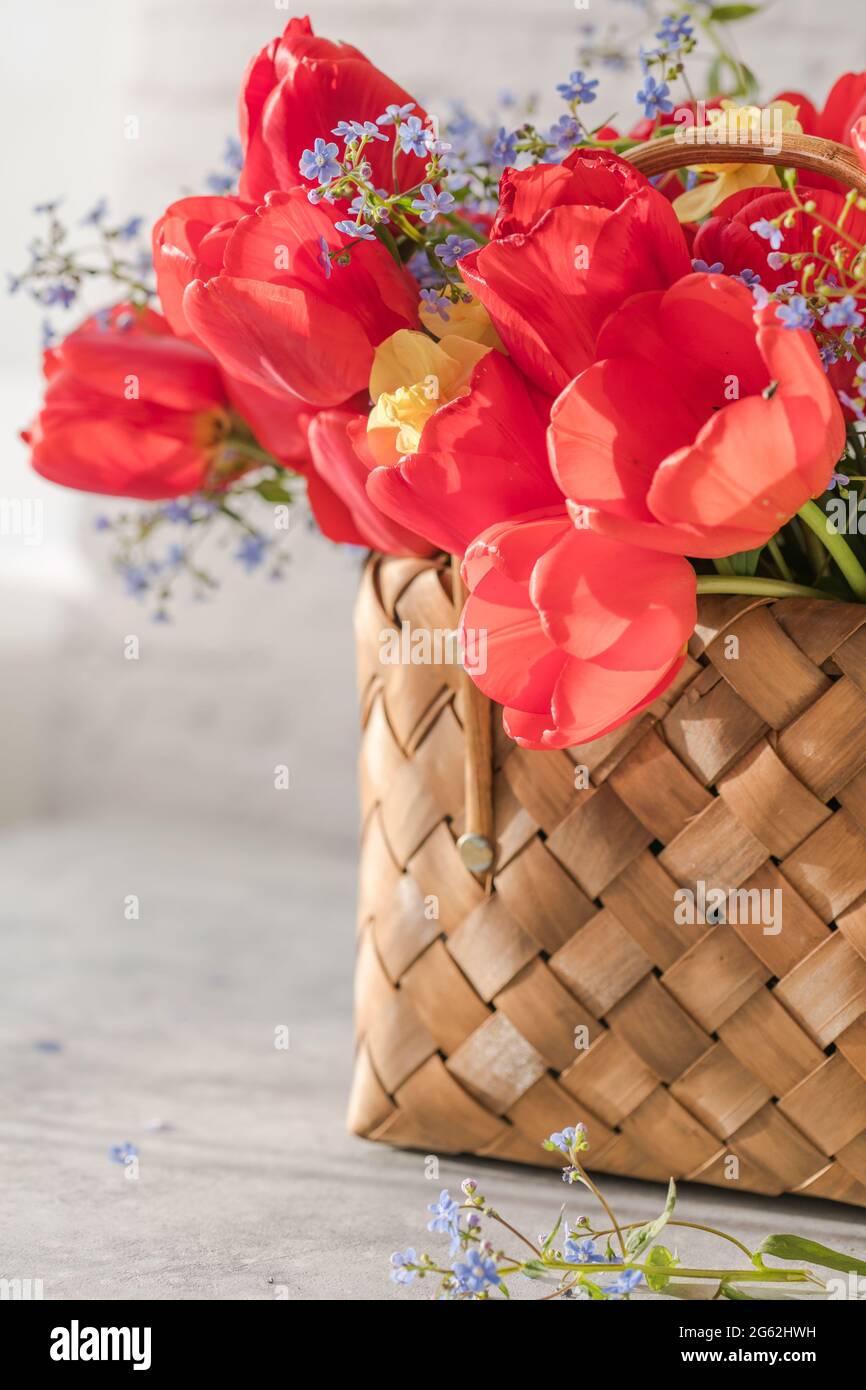 Summer or spring bouquet of daffodils and red tulips in a wicker basket ...