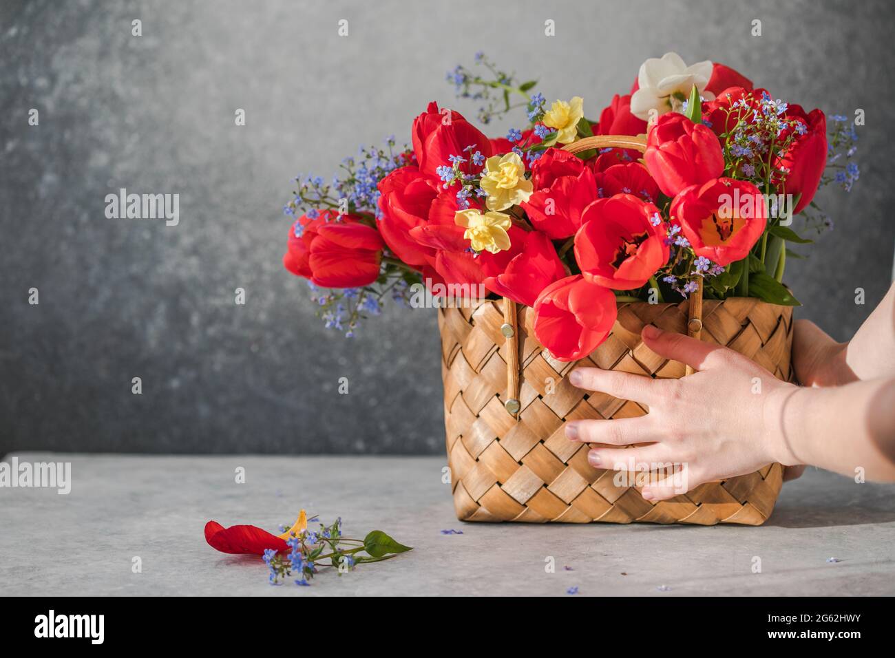 Summer or spring bouquet of daffodils and red tulips in a wicker basket ...