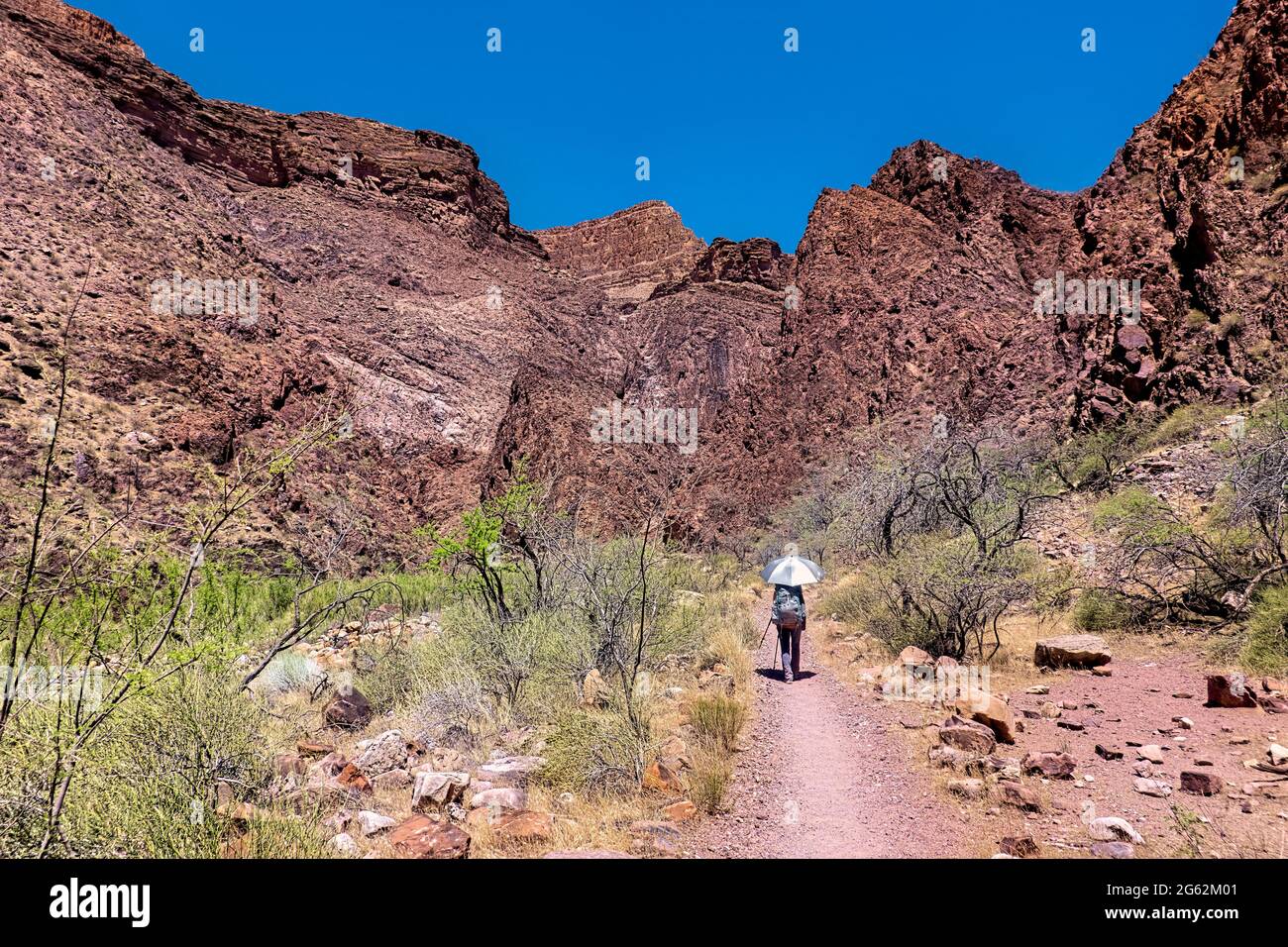 Hiking the North Kaibab Trail, Grand Canyon National Park, Arizona, U.S ...