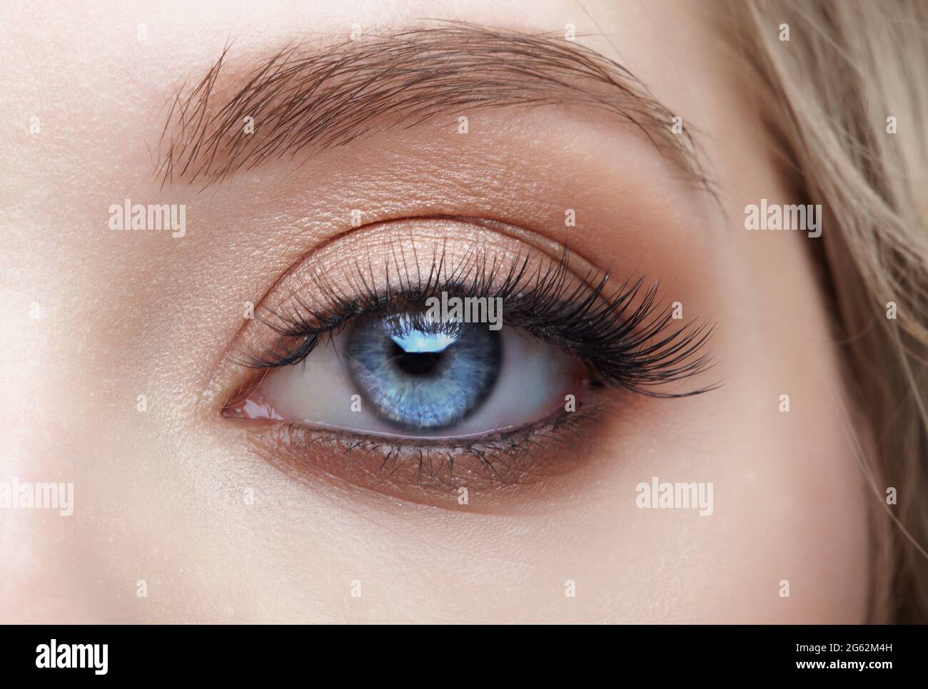 Closeup macro shot of blue human female eye. Woman with natural vogue face beauty makeup. Stock Photo