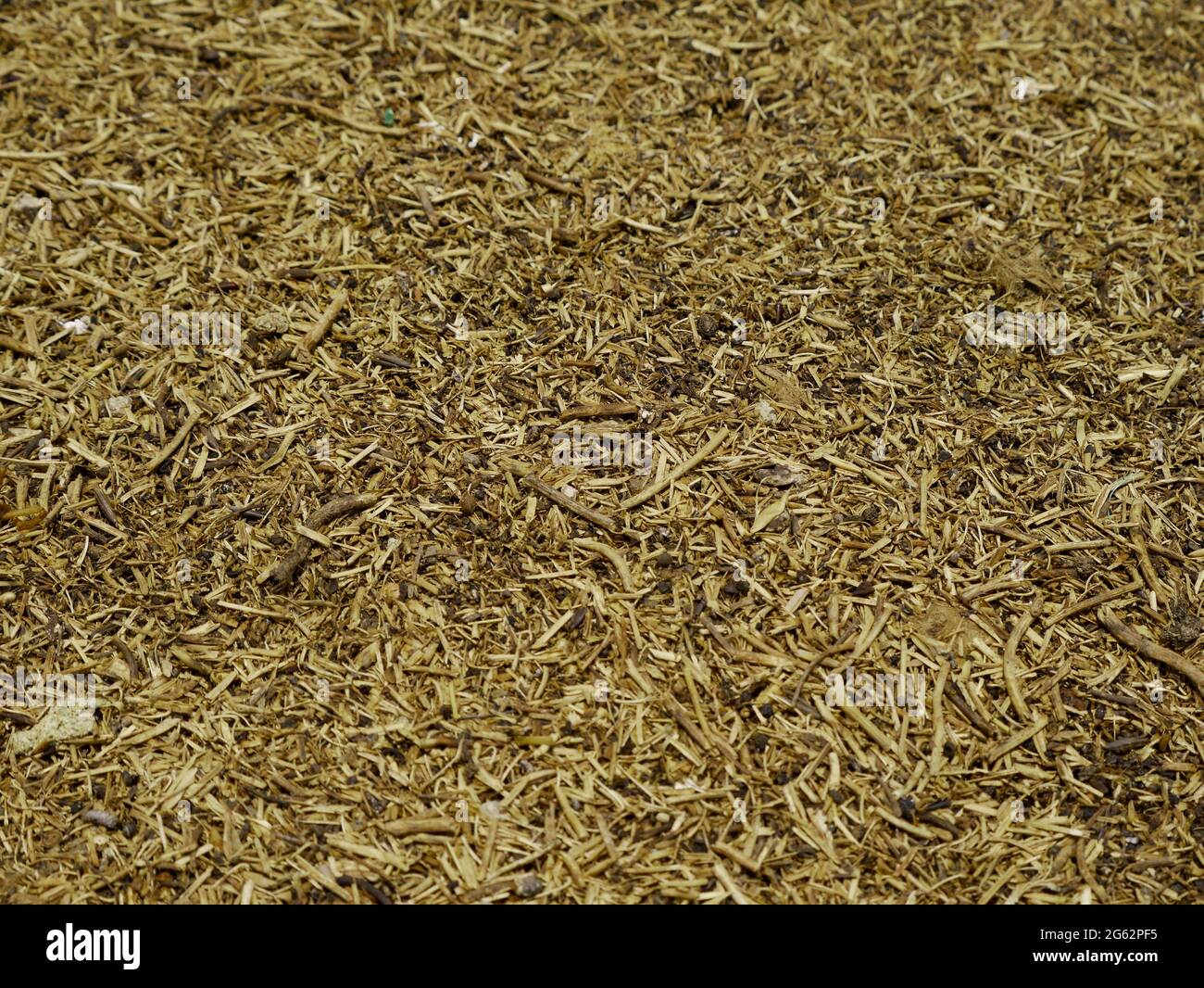 Brown wood stick texture background nature view Stock Photo - Alamy