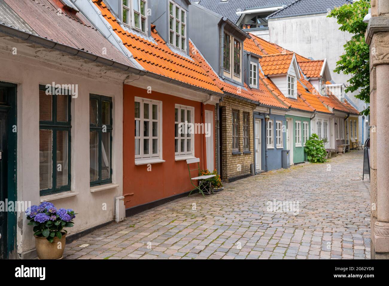 Denmark 7 June, 2021a cobblestone street and colorful small