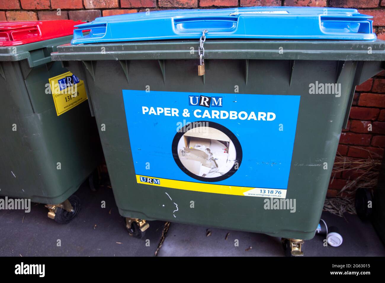 Paper and cardboard recycling bin in Sydney,Australia awaiting council collection Stock Photo