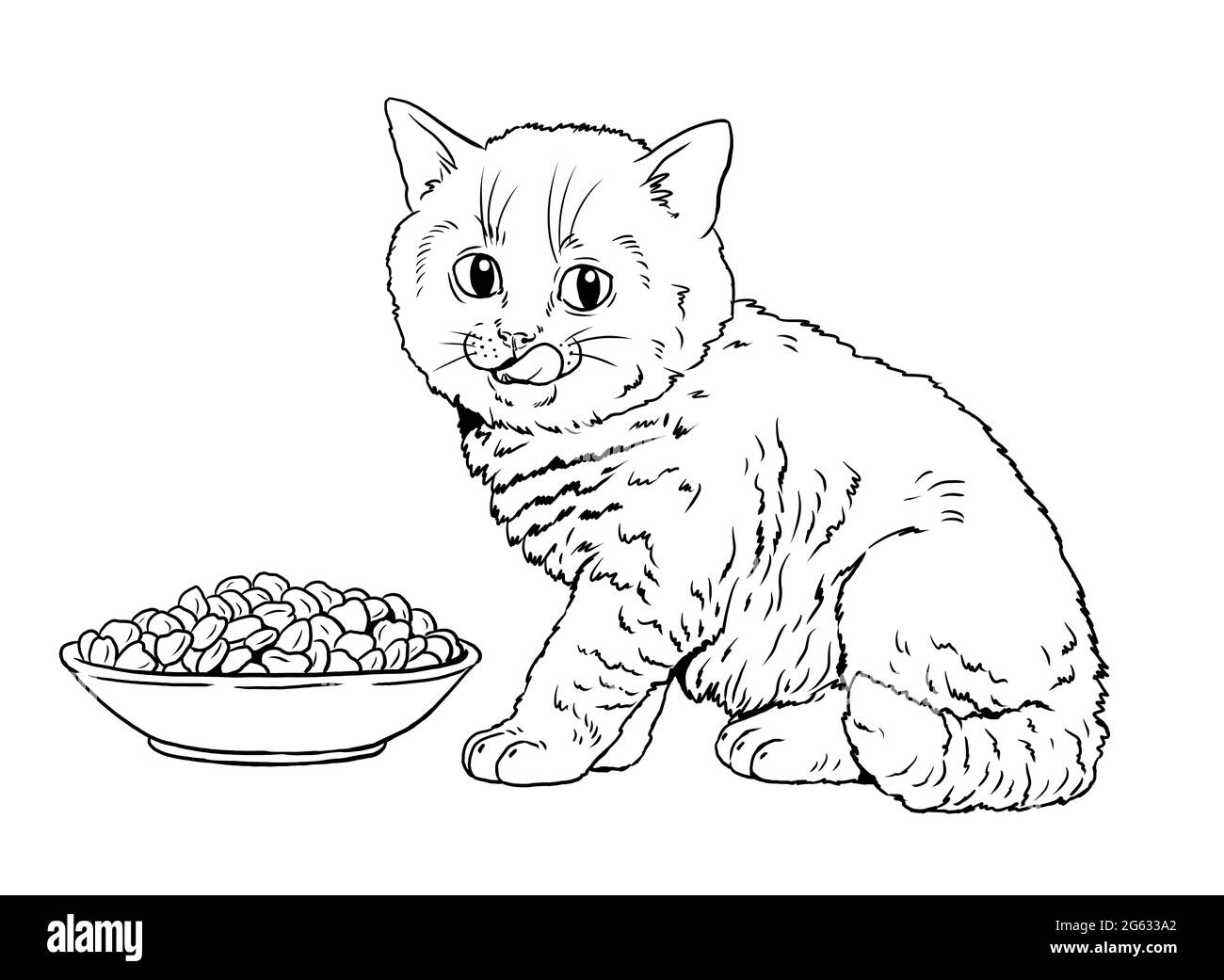 Cute kitten while eating. Template for a coloring book with little cats. Stock Photo