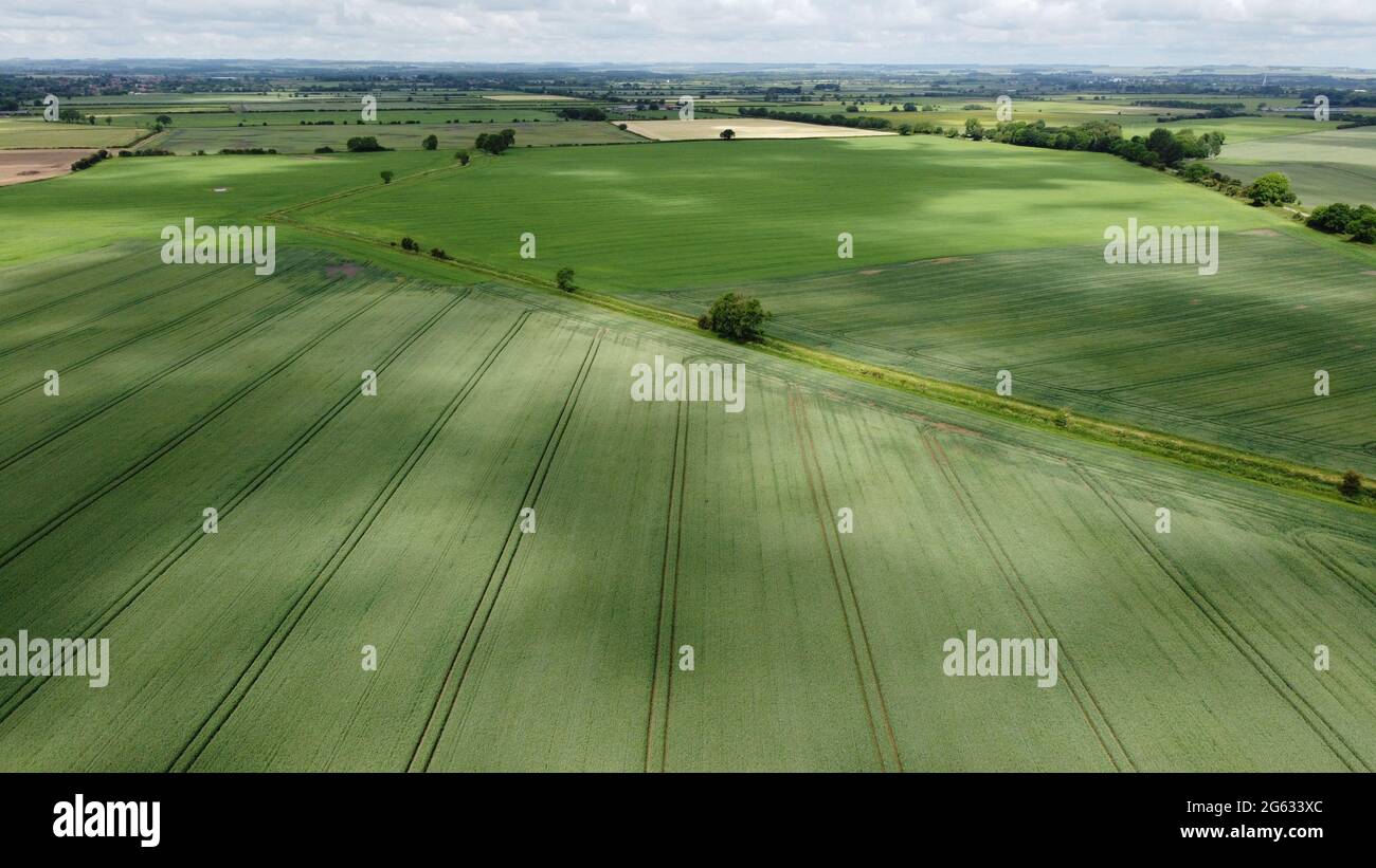 Aerial view of rural scenic countryside landscape with green fields in summer, Rotsea, East Riding of Yorkshire, England, UK Stock Photo