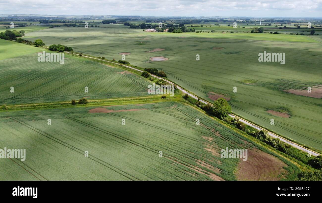 Aerial view of rural scenic countryside landscape with green fields in summer, Rotsea, East Riding of Yorkshire, England, UK Stock Photo