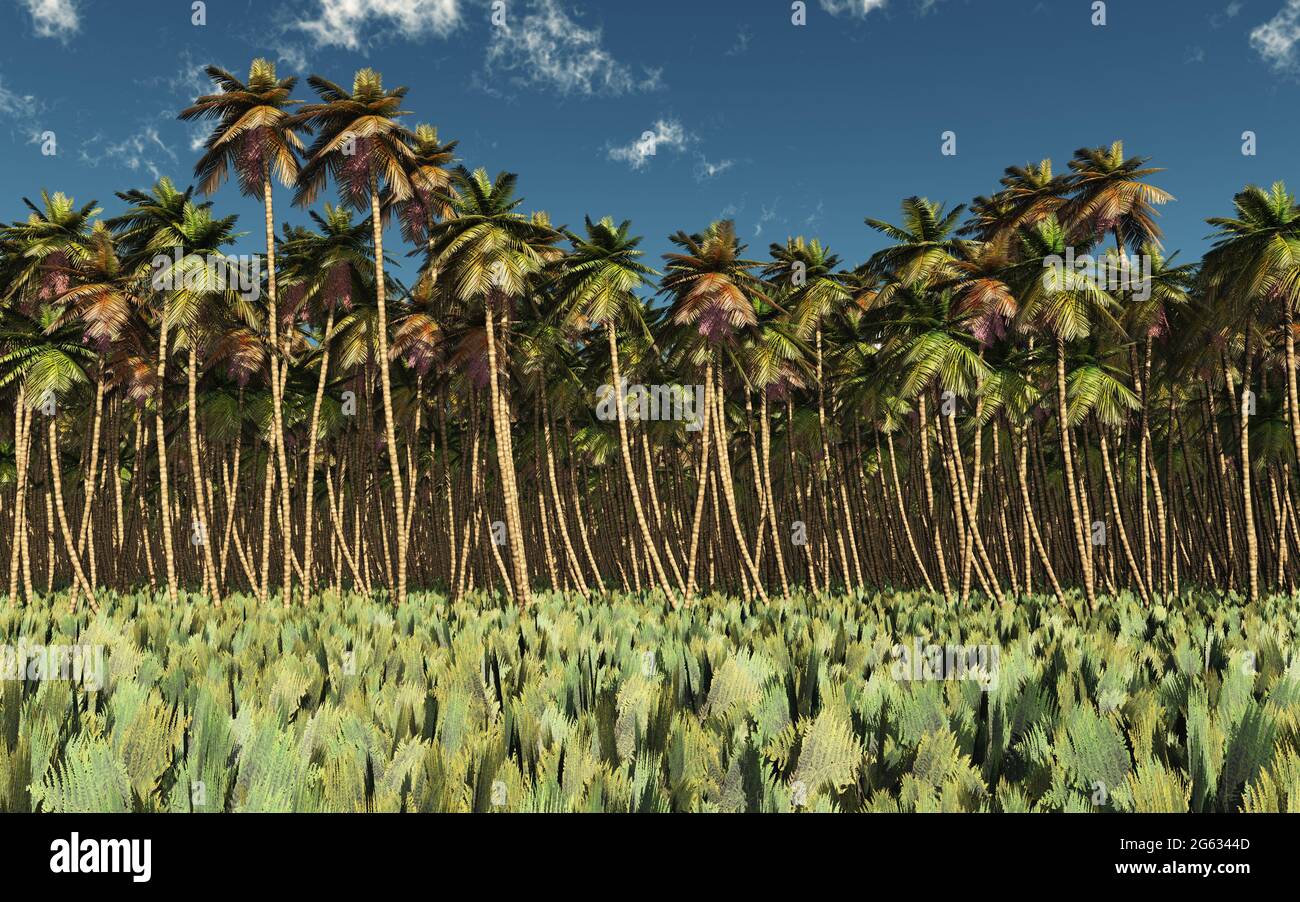 Tropical forest Stock Photo