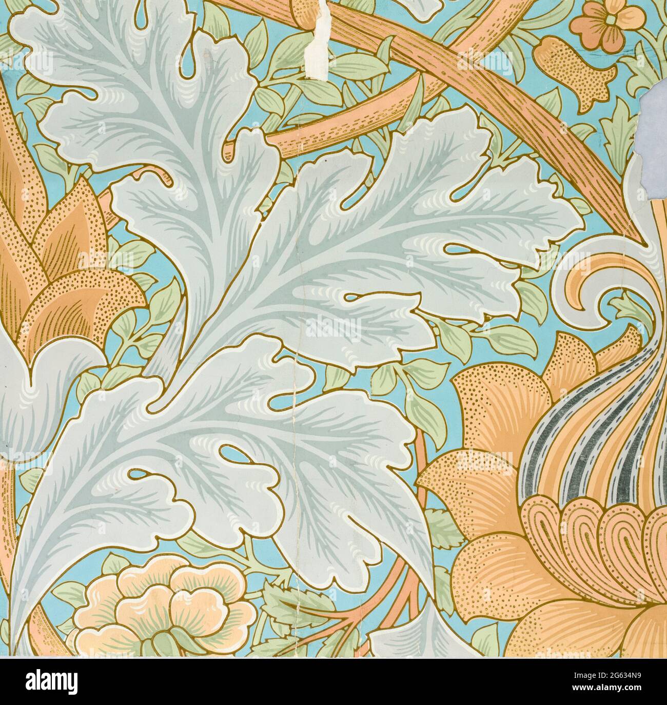 William Morris, St James, wallpaper pattern (fragment), 1881 Stock Photo