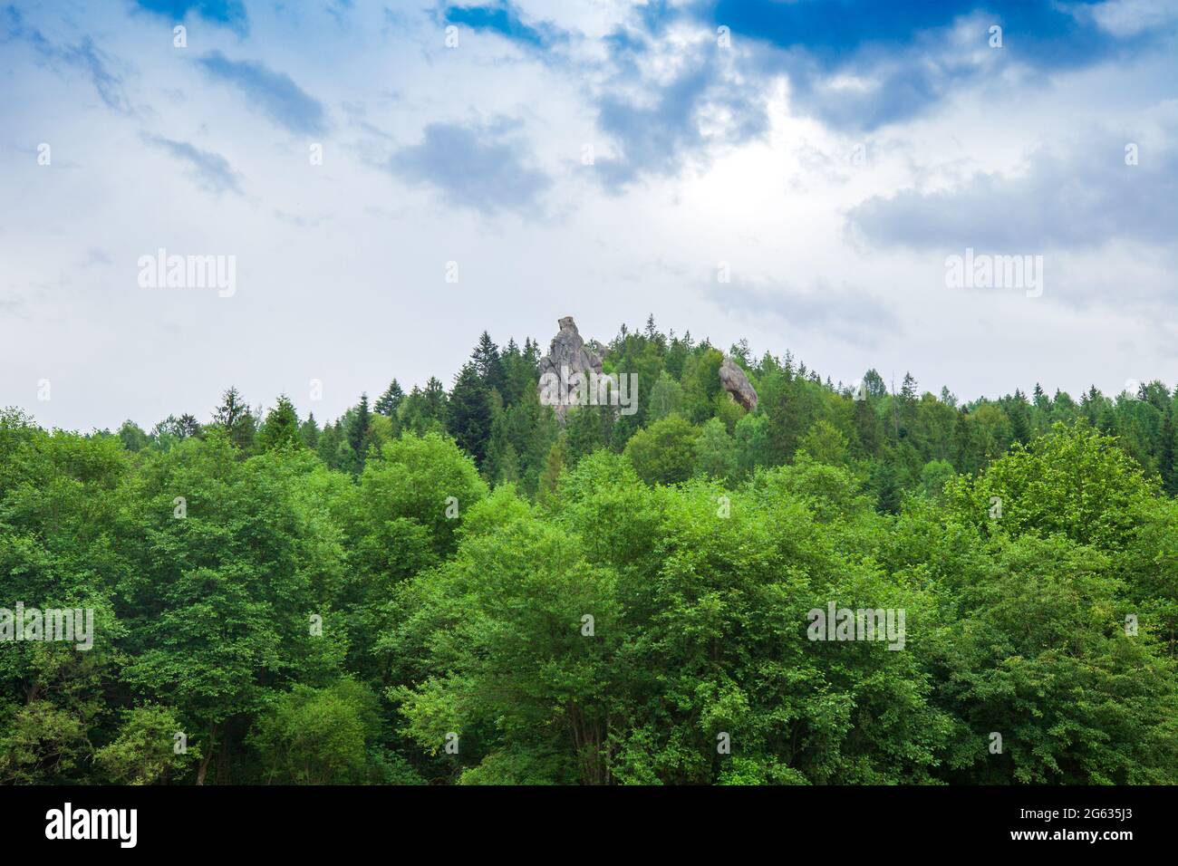 Summer landscape with mountains and forest by cloudy dark blue sky. Scenery of Ukrainian Carpathians in Skole, Lviv region, Ukraine Stock Photo