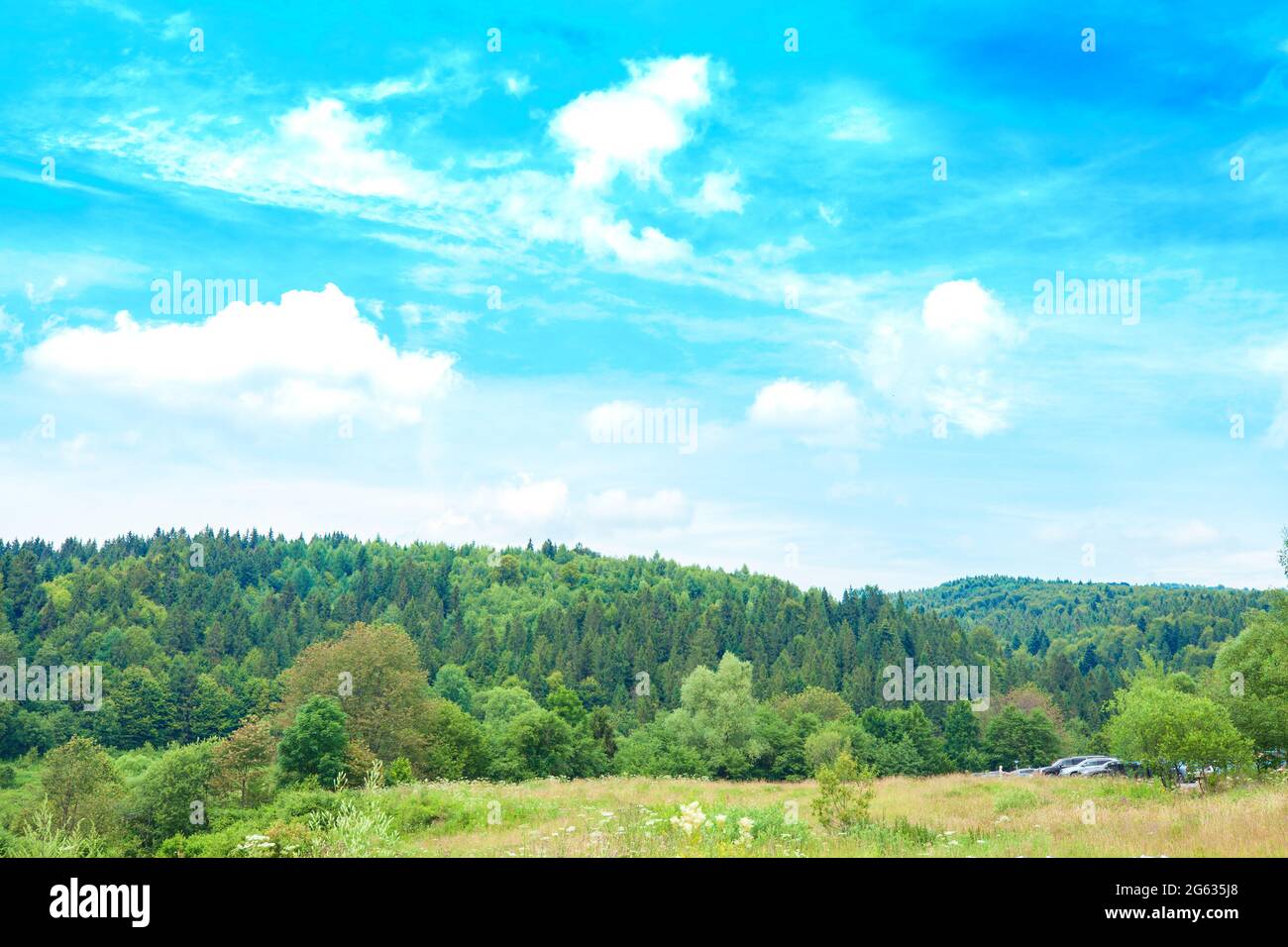Summer landscape green field, mountains and forest by blue sky. Scenery of Ukrainian Carpathians in Skole, Lviv region at sun light day Stock Photo