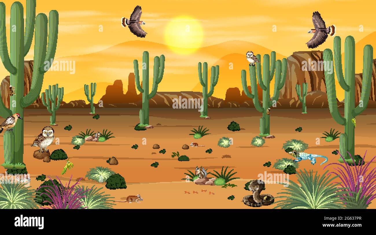 Desert forest landscape at sunset scene with desert animals and plants  illustration Stock Vector Image & Art - Alamy