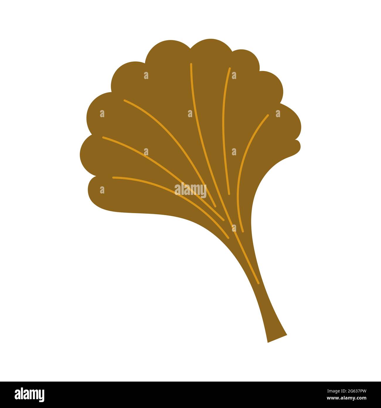 Autumn leaf fall ginkgo leaf vector clip art stock vector image art