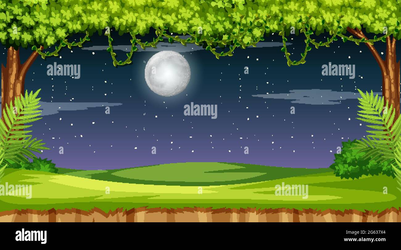 Nature forest landscape at night scene illustration Stock Vector Image ...
