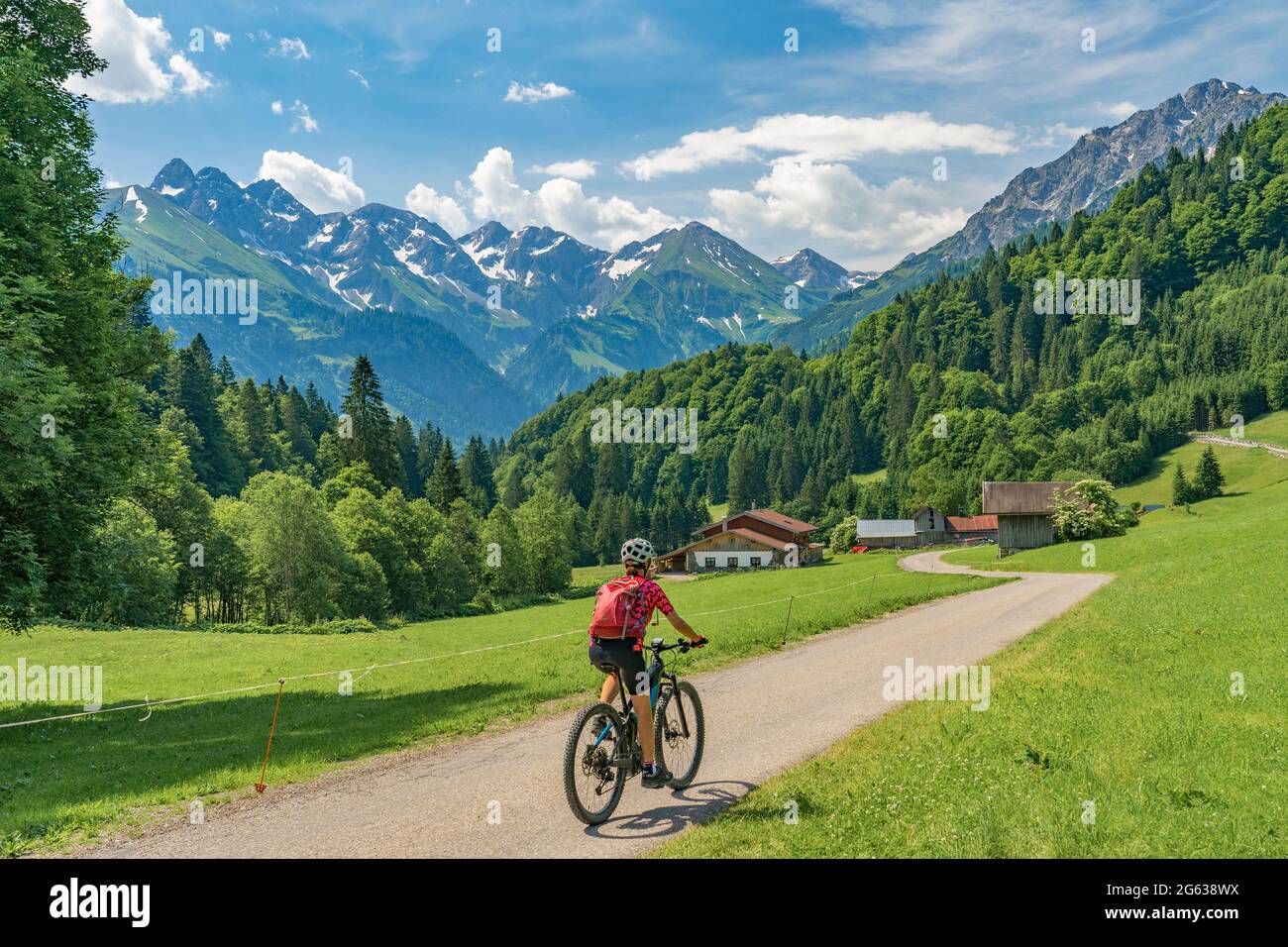 nice senior woman on mountain bike climbing up Mount Fellhorn in the Allgaeu High Alps with Trettach and Maedelegabel in background, Allgau, Bavaria, Stock Photo