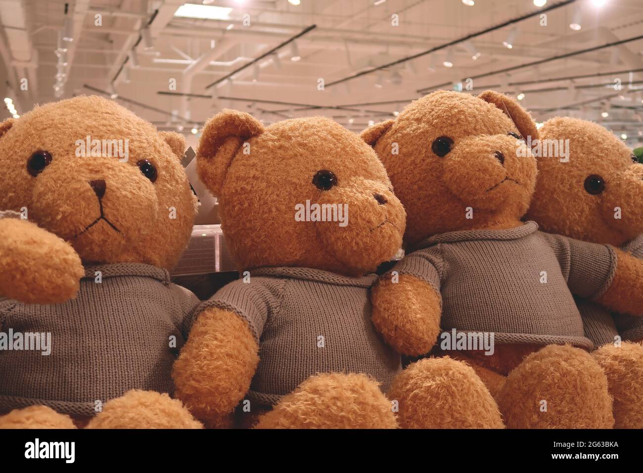 Teddy bear on the shelf Stock Photo