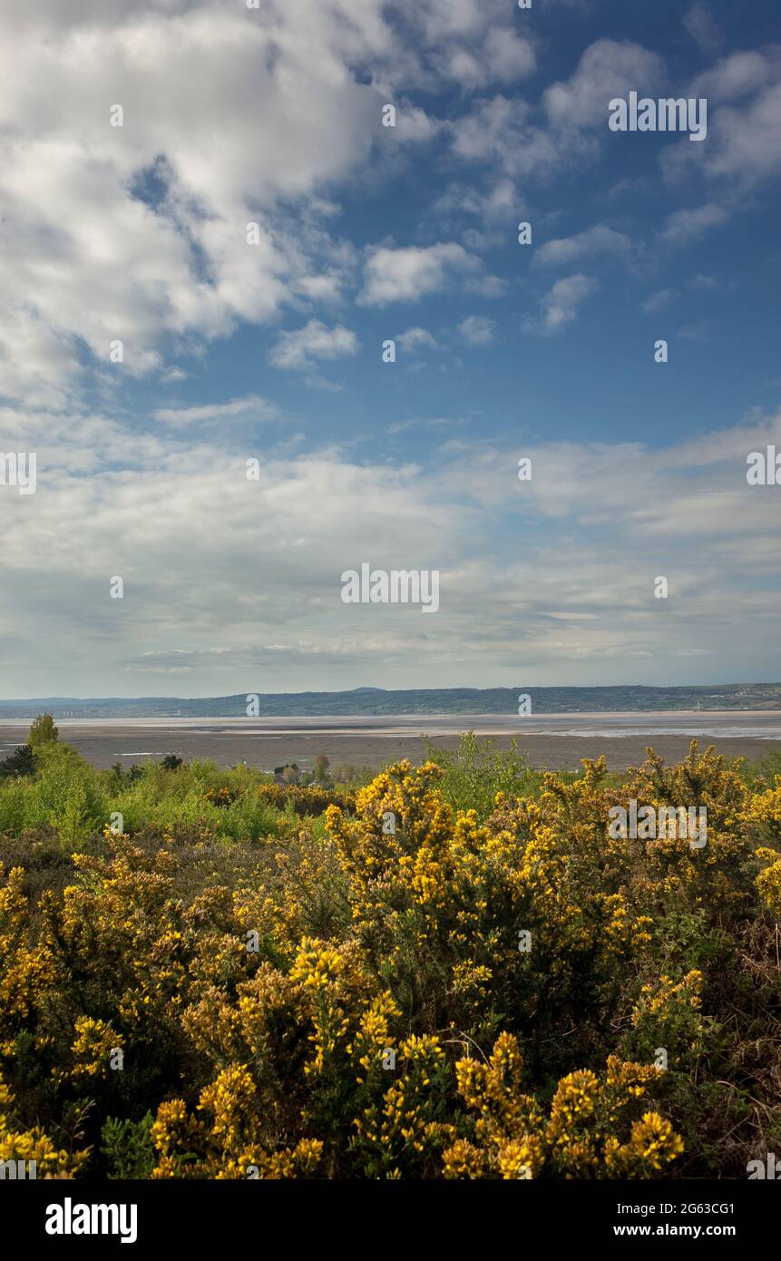 View of the Dee Estuary and Welsh Hills from the Cleaver Heath Nature