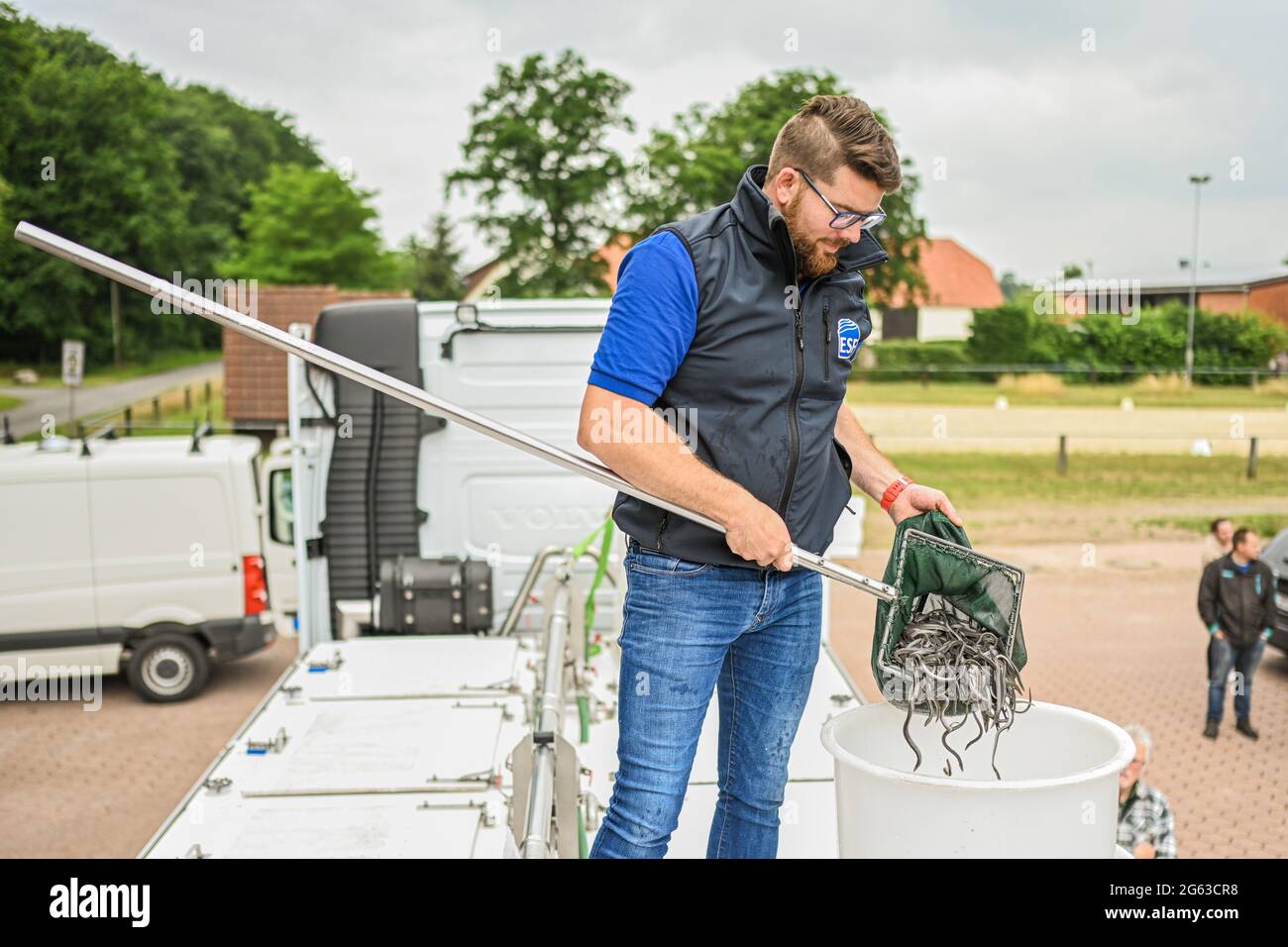 Lower Saxony, Germany. July 2 2021: Matthias Letmeyer stands on a fish transporter and uses a landing net to distribute young set eels into two large buckets. The Lower Saxony Anglers' Association releases juvenile eels and helps them avoid obstacles on their natural migration route. The eel was once an important cultivated and bread fish in northern Germany. But hydroelectric power plants and weirs block the way for young eels from the North Sea to the rivers and streams. Photo: Mohssen Assanimoghaddam/dpa Credit: dpa picture alliance/Alamy Live News Stock Photo