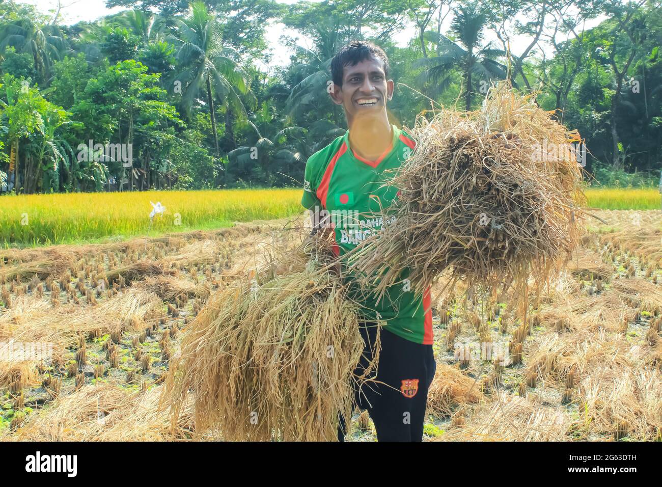 Bangladeshi farmer smiling for cut and collects paddy after harvest. Stock Photo
