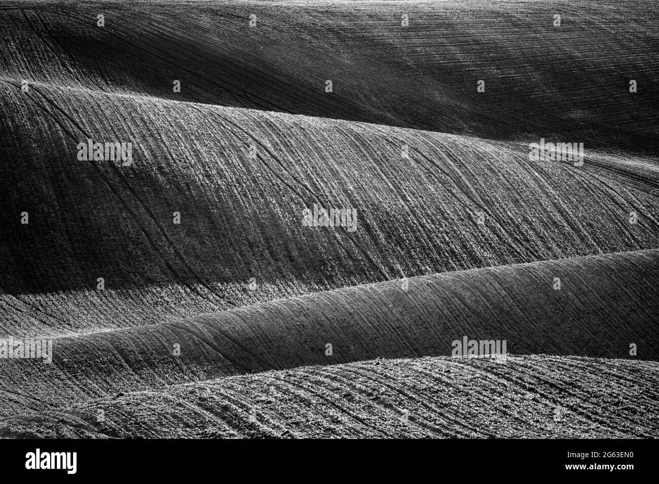 Wavy grass field Black and White Stock Photos & Images - Alamy
