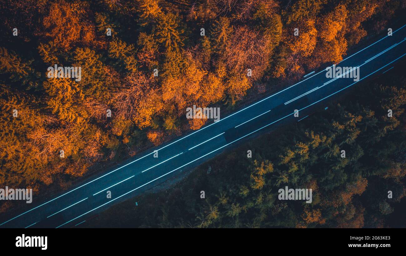 Top view of empty paved road going between autumn trees Stock Photo - Alamy