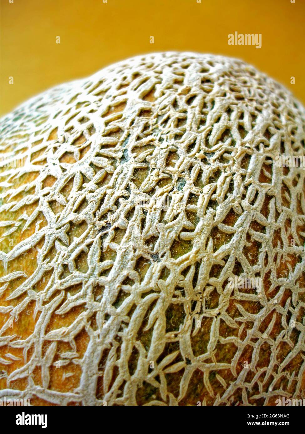 Melon skin macro texture hi-res stock photography and images - Alamy